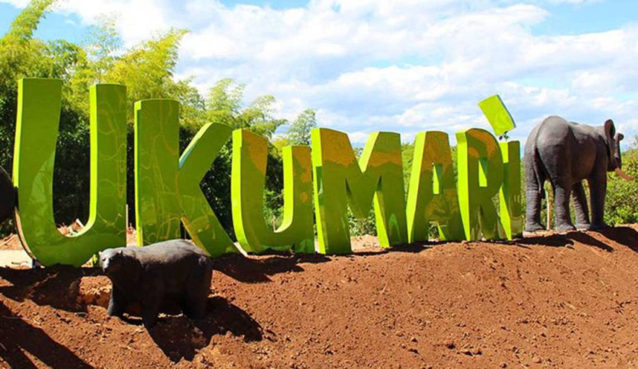 Ukumari